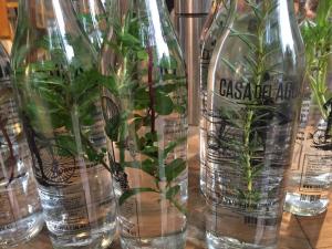 9fd9ce875261a2cfee09273a438c21f0-large