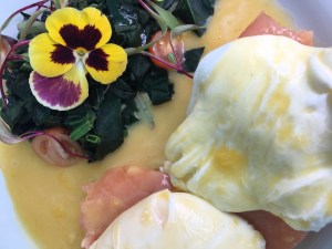 Photo 6-20-17, 8 03 51 PM